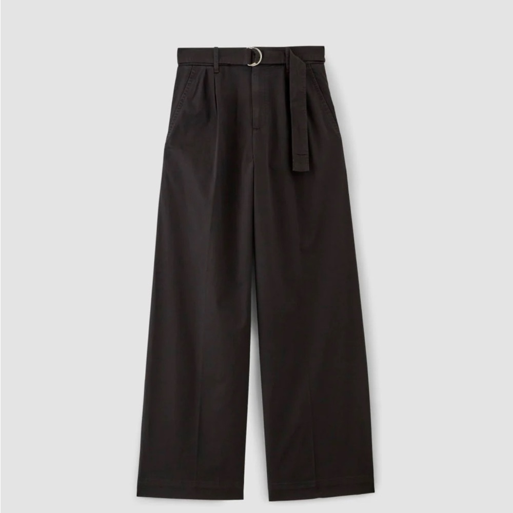 Everlane Pleated Wide-Leg Trousers